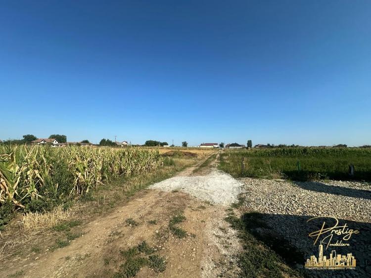 Casa la rosu si teren de 560 mp de vanzare in Tarian - Bihor - 15