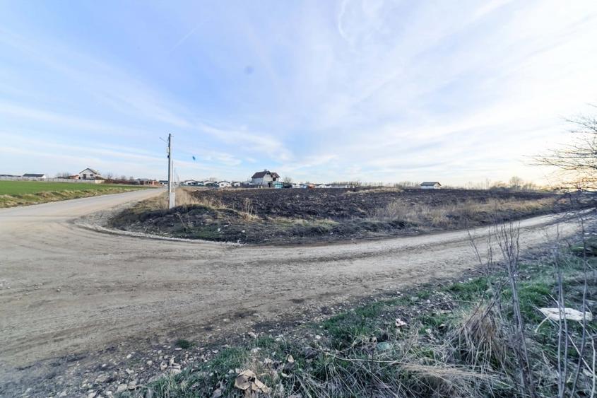 Teren 6000mp*Domnesti*Salciei-Haltei-Ciocarliei*Drum asfaltat cu utilitati - 6