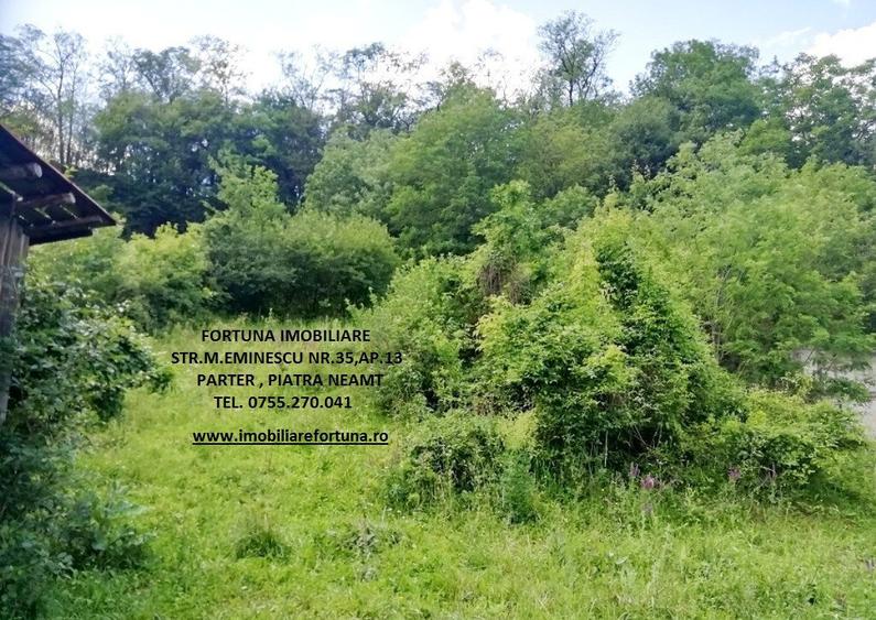 Teren 2000 mp, str.Nicu Albu, cadru natural superb - 5