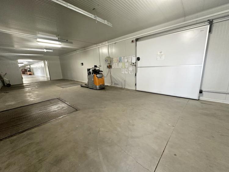 Hale frigorifice de închiriat în zona Est, Centura Oradea, Bihor - 4