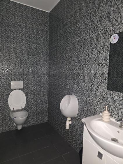 Ultracentral Spatiu zona Calarasi -Piata Concordia - 6