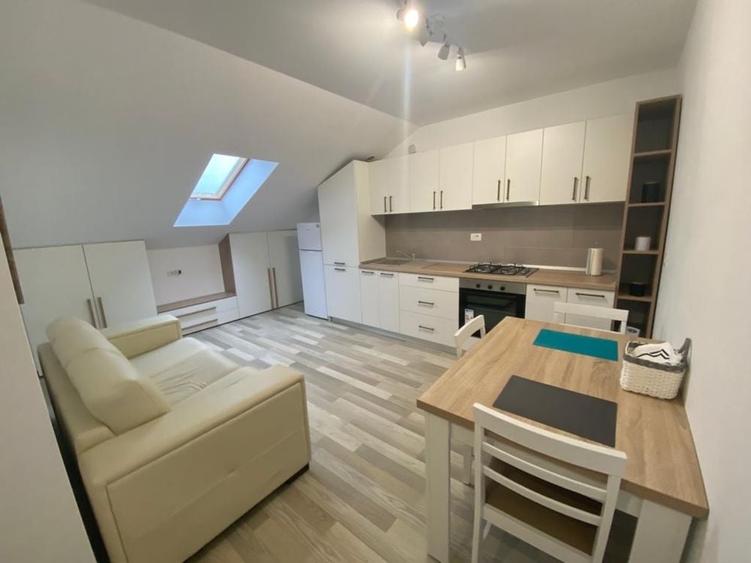 Apartament cu 2 camere decomandat în Valea Lupului