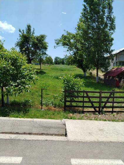 Teren de vanzare - 3