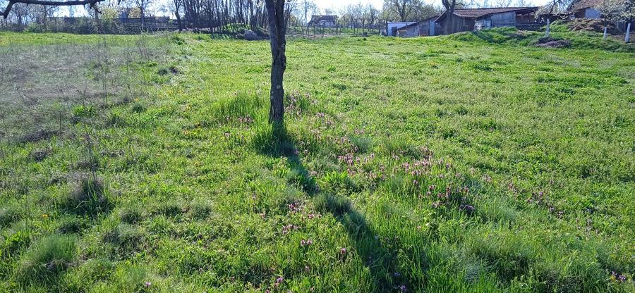 Teren intravilan de vanzare in Hezeris - 1810 mp, front stradal generos - 2