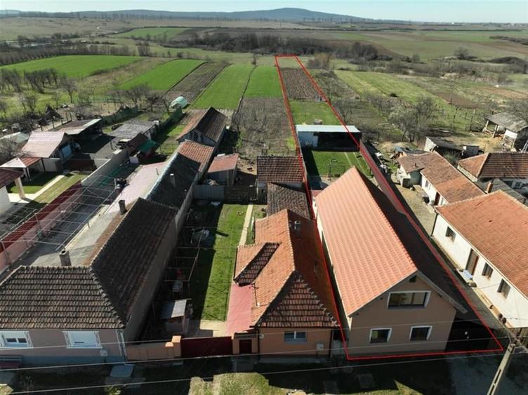 RECO Casa 3 camere, Alparea - 12