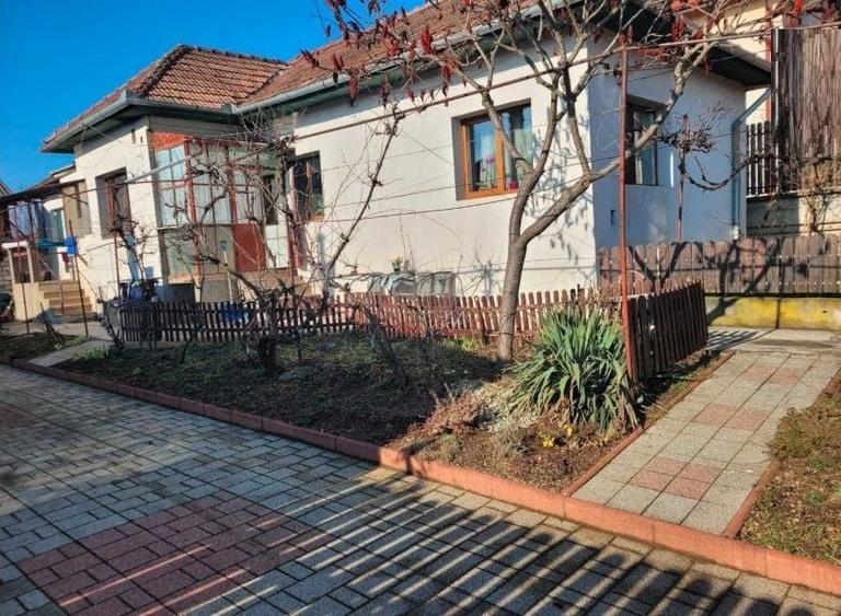 Casa individuala in zona strazii Corneliu Coposu, Dambul Rotund - 1