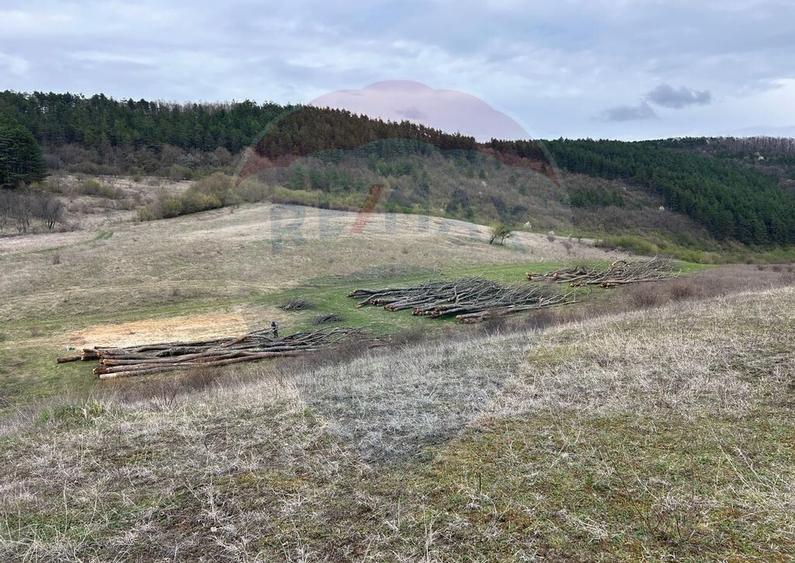 Teren de vanzare - 207.000 mp in Benesat, cu panorama ... - 5