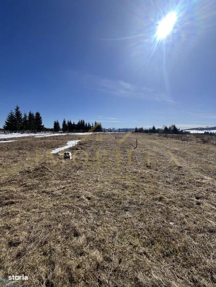 Teren Intravilan de 1000 mp , zona centrala , Copcea , Marisel - 1