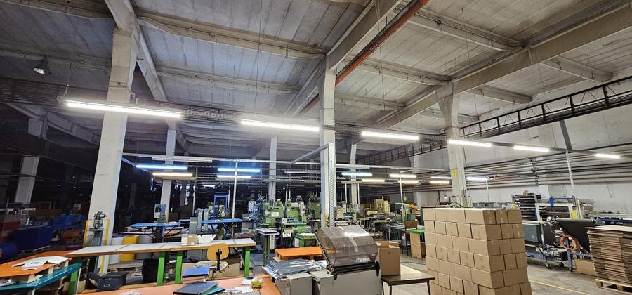 Spatiu industrial, hala, pana la 3500 mp, Buftea, 3.5 euro/mp - 2