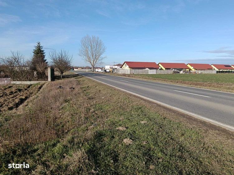 Teren intravilan investitie, Bucovat - 2