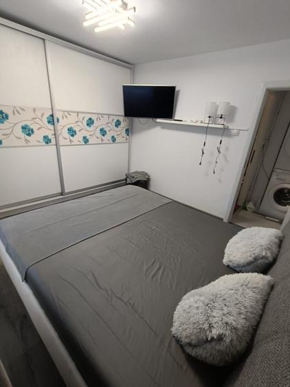 Închiriere apartament 2 camere Parc Sebastian  - 4