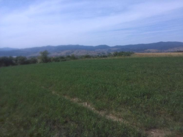 Parcele  teren  intravilan, plata in  rate - 1