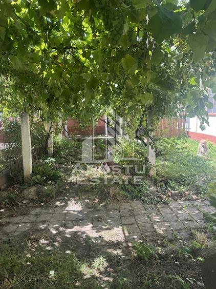 Casă unifamilială cu teren de 1504 mp - 13