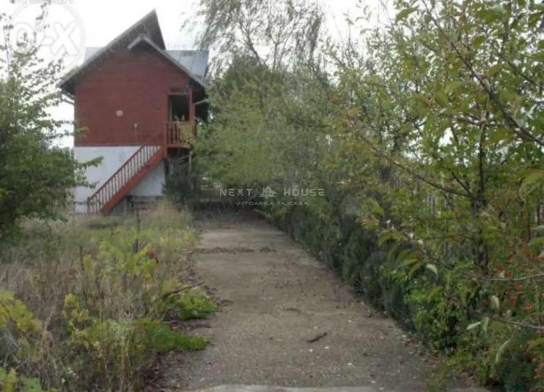 Teren la 35 km de Bucuresti - Izvorani - Ciolpani - 10