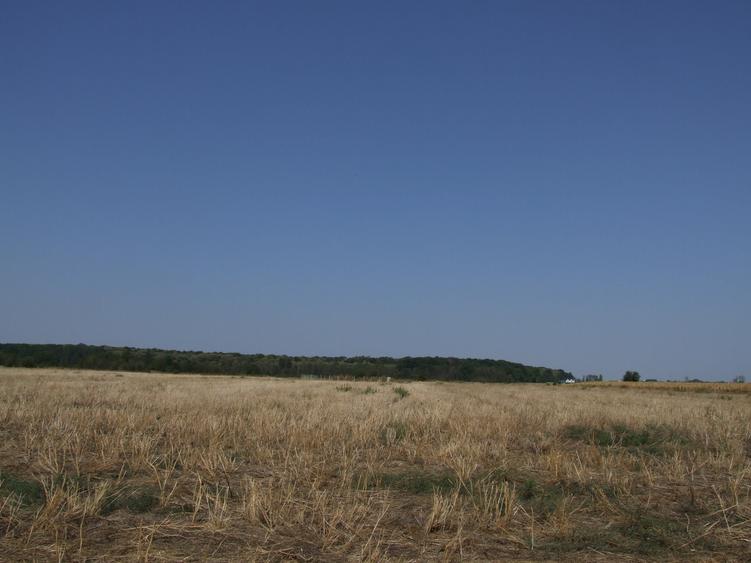 Clinceni-Ordoreanu-padure loturi  733mp - 8