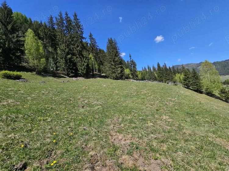 Teren de 5350 mp, în Pojorâta