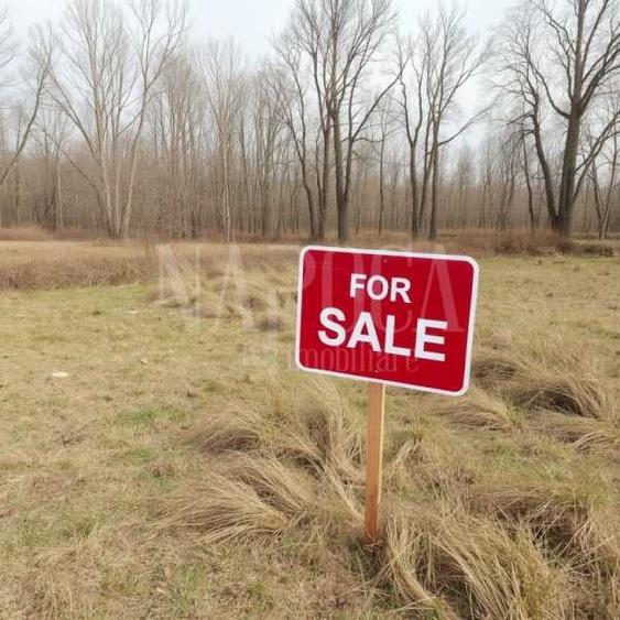 Teren intravilan pentru constructii de vanzare in Dambul Rotund, Cluj Napoca - 3