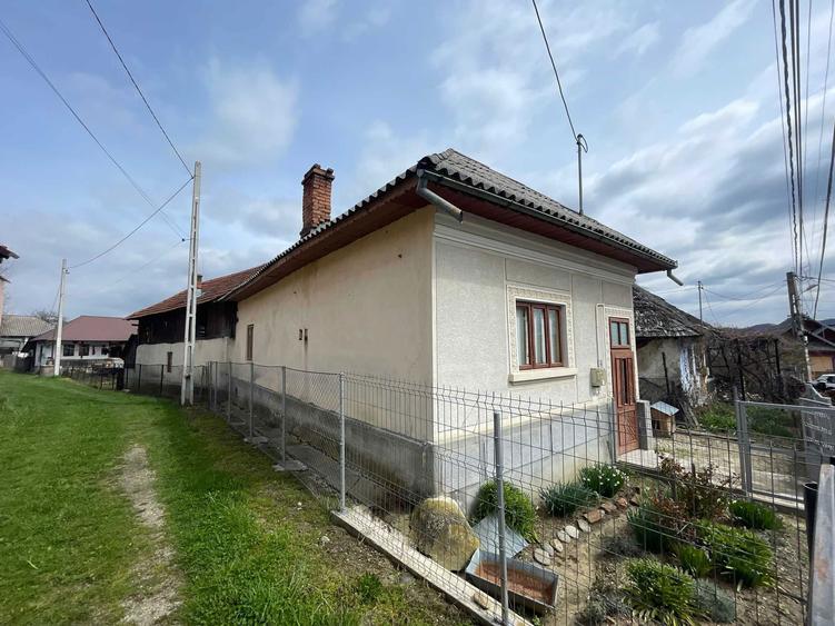 Vand Casa in Domnesti, Arges - 3