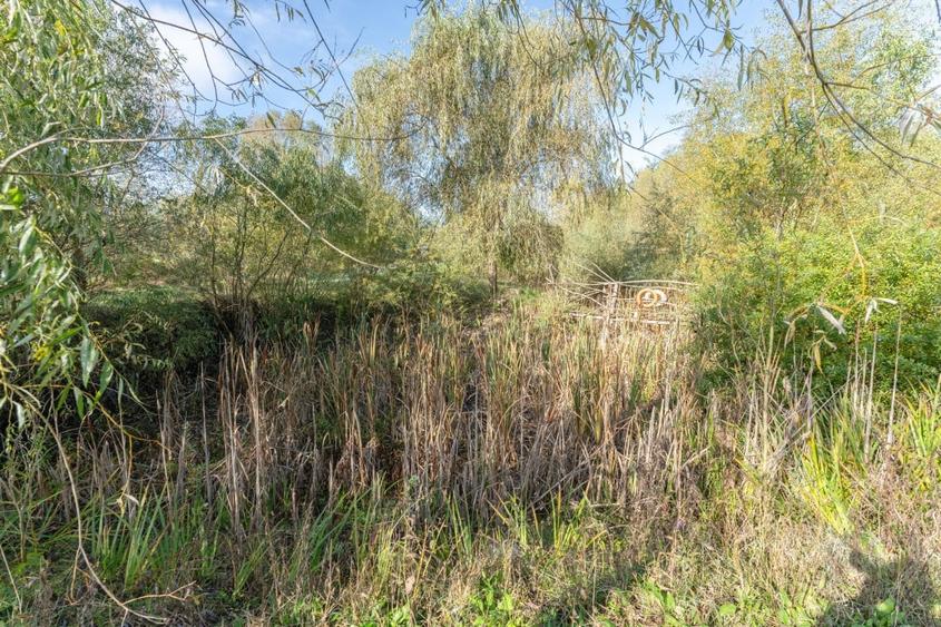 Proprietate rara in Covasna - liniste, spatiu si potential de investitie - 4