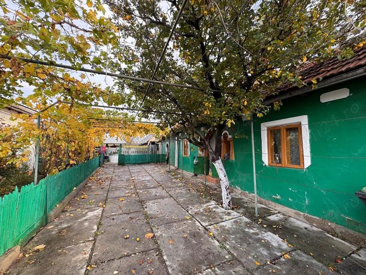 Casa de vanzare Bistrita Noua - 4