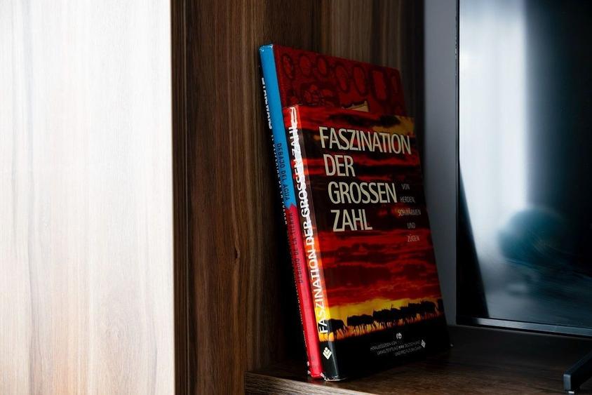 Vila de inchiriat | Silistea Snagovului | Aproape de lac-ponton privat | Jacuzzi - 8