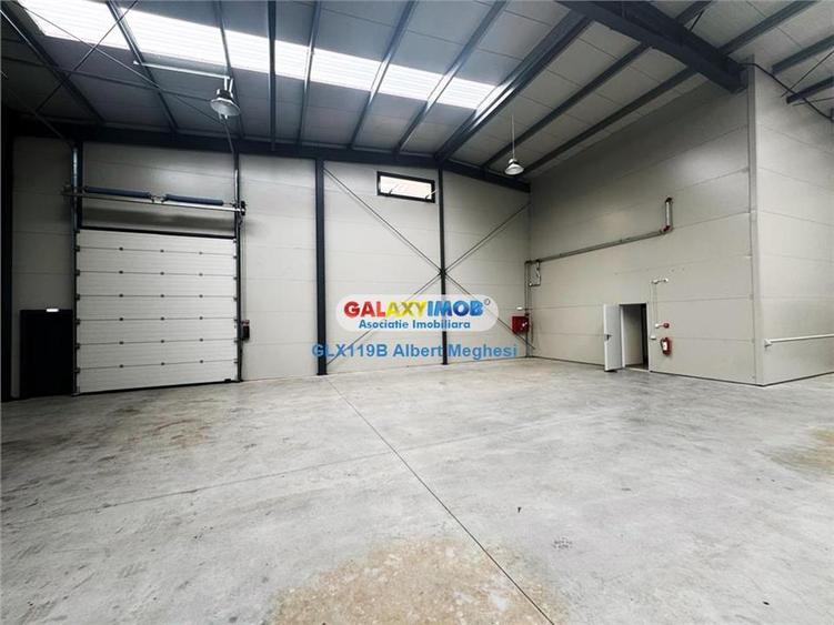 Inchiriere Spatiu Depozitare Hala Centura-Mogosoaia - 3