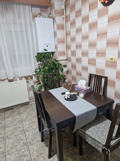 COLENTINA RAU, MAIOR BACILA IN PLAN SECUND, PARCUL PLUMBUITA LA 5MIN. - 17