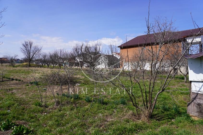 Teren Strada Mare Lumina Central - 10