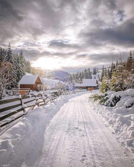 Teren extravilan Poiana Horea - 2