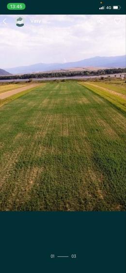 Teren de Vanzare - 1