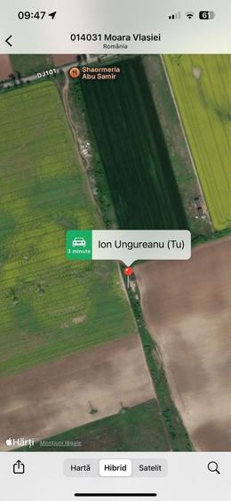 Teren Caciulati Moara Vlasiei 4900 mp 4 mp - 3