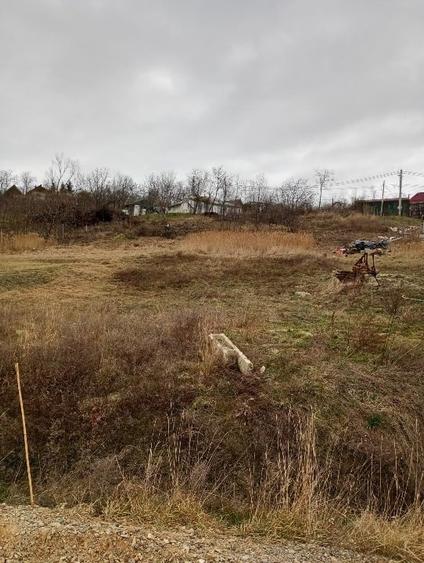 Teren intravilan Răchiți - 2