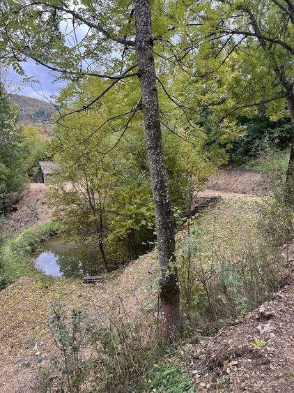 Teren de vanzare-Muntele Rece - 6