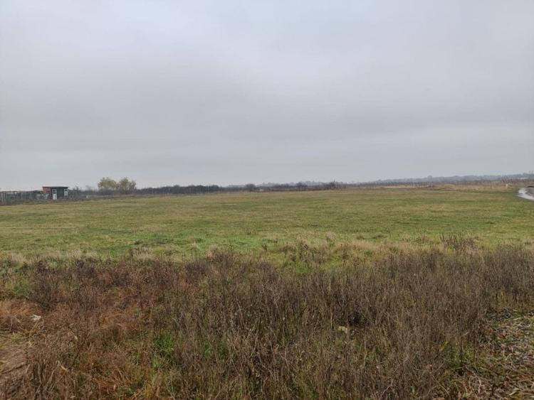 Teren 4588 mp, Remetea Mare Comision 0% - 4