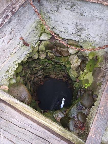 20 de arii si 2 case in Fi?cau - 5