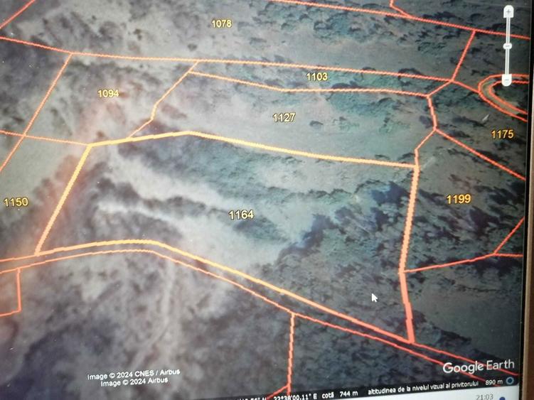7454 m2 Teren cu drum de acces pietruit in padure - 1