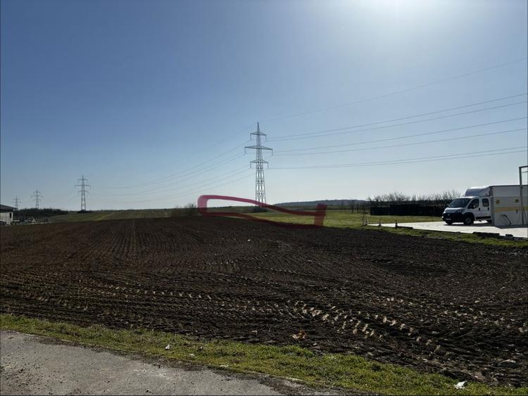 Teren intravilan 3.000 mp Niculesti Movila - 2