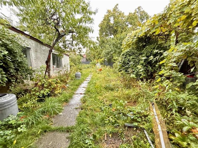 Casa 5 camere | Curte | Renovata 2025 | Codrul Cosminului - 16