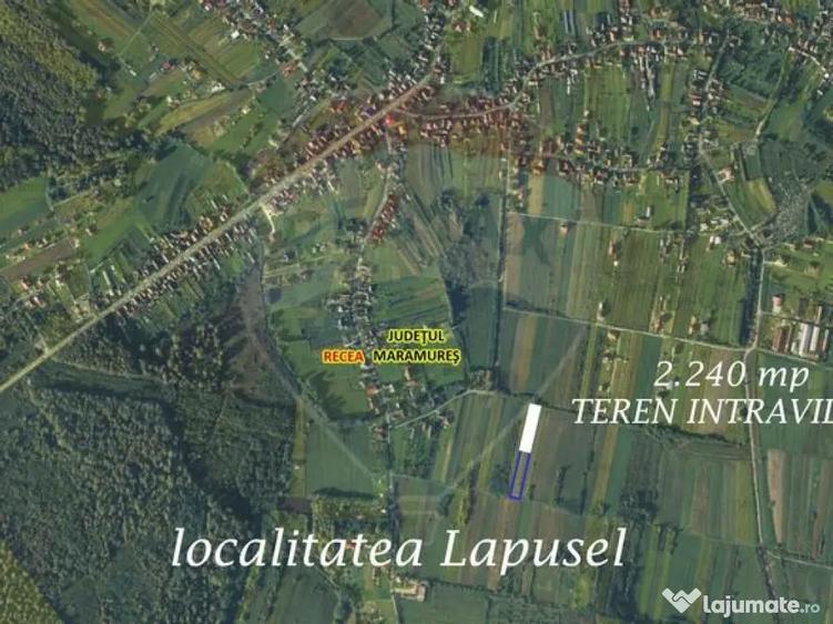 1.500 eur/ar - TEREN INTRAVILAN in Lapusel - 1