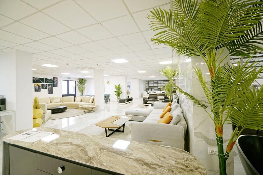 Spatiul Comercial,Militari,Valea Cascadelor,1980 mp - 19