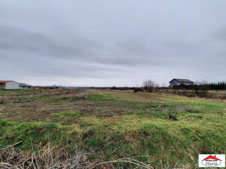 Teren intravilan 12216 mp in Vetis construibil - 1