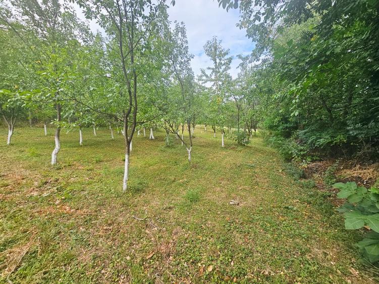 Teren intravilan, cu priveliște– Vălenii de Munte - 8