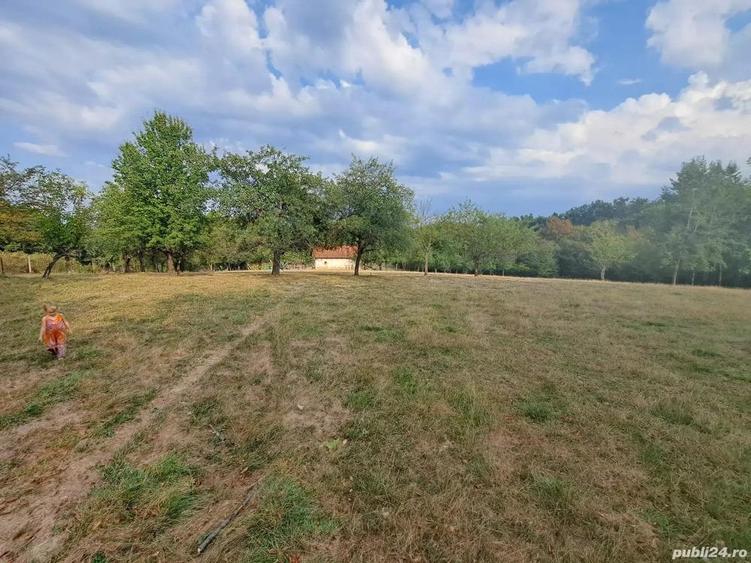 Teren 15826 mp + padure 1 ha - 9