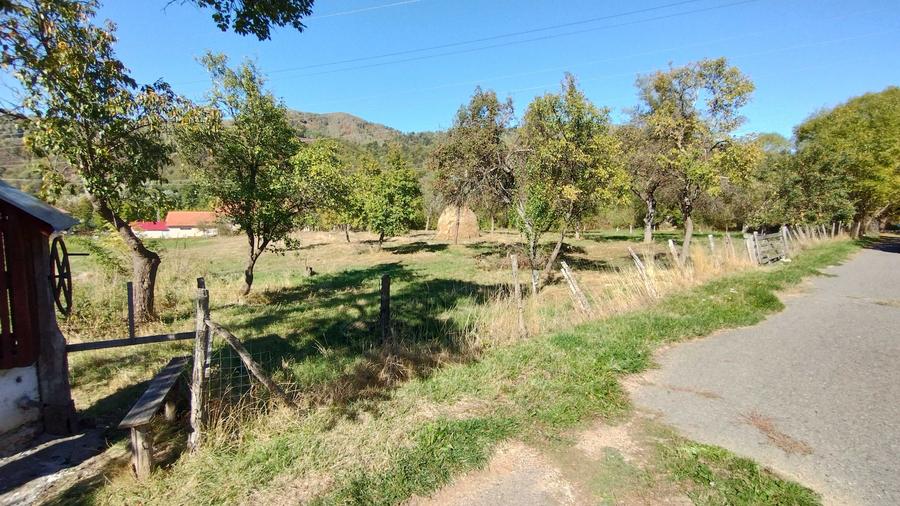 Teren de 9288 mp, în Bucova