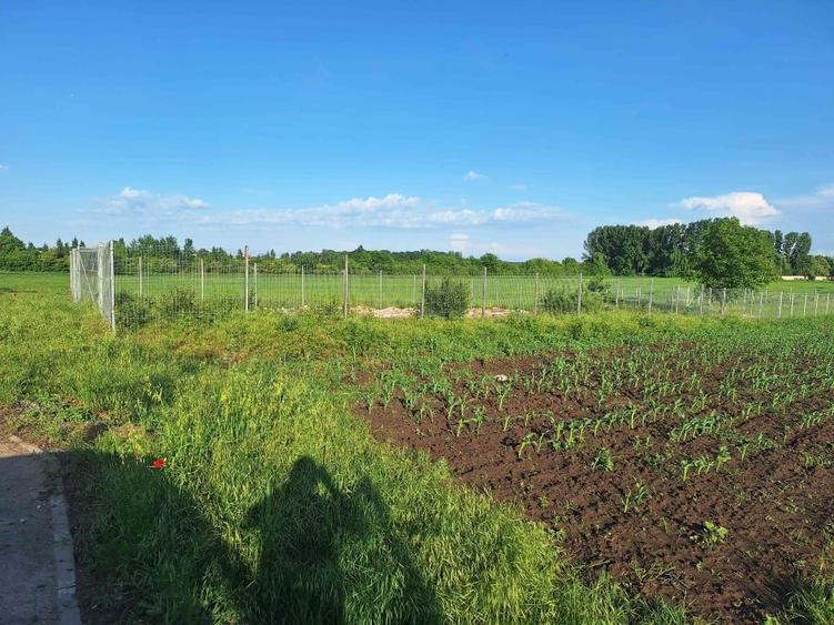 Teren Construcții intravilan de 500 mp, în Bolintin-Deal