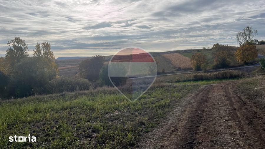 Teren de 3000 mp, în Ciurila