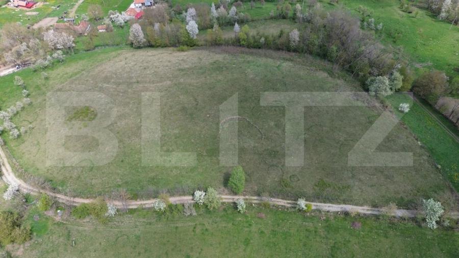 Teren agricol extravilan de 16871 mp, în Almașu Mare