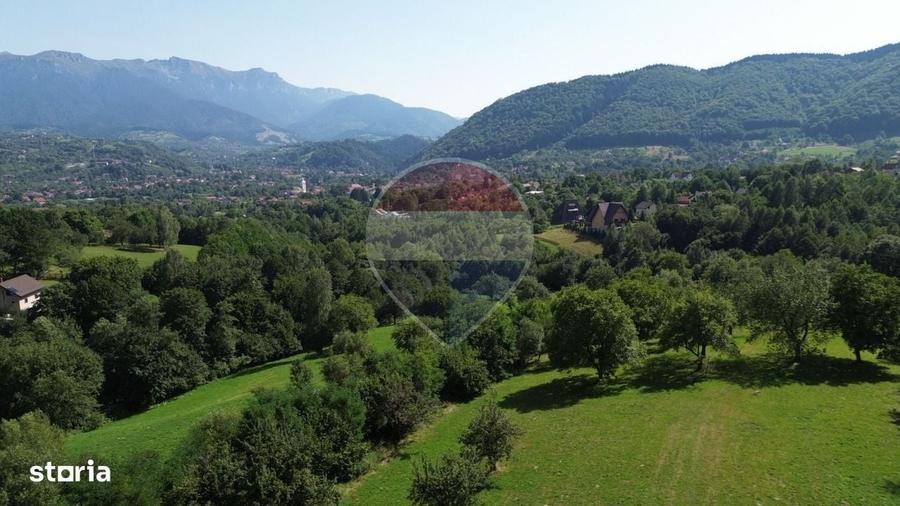 Ocazie! Teren 2885 mp Bran- Predelut / Strada Pe Tarina nr. 70A - 11
