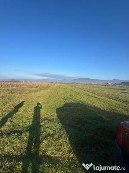 Teren de 1800 mp, în Mocira