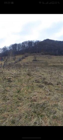 Teren Riu Sadului - 2 ha Acces stradal , zona cu potential turistic - 3